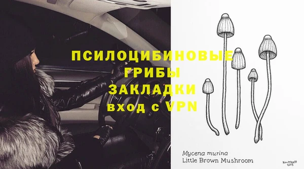 мяу мяу мука Надым