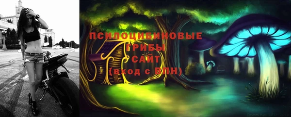 мескалин Кизел