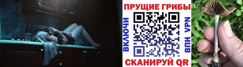 Купить где  Кириши  Псилоцибиновые грибы ЛСД 